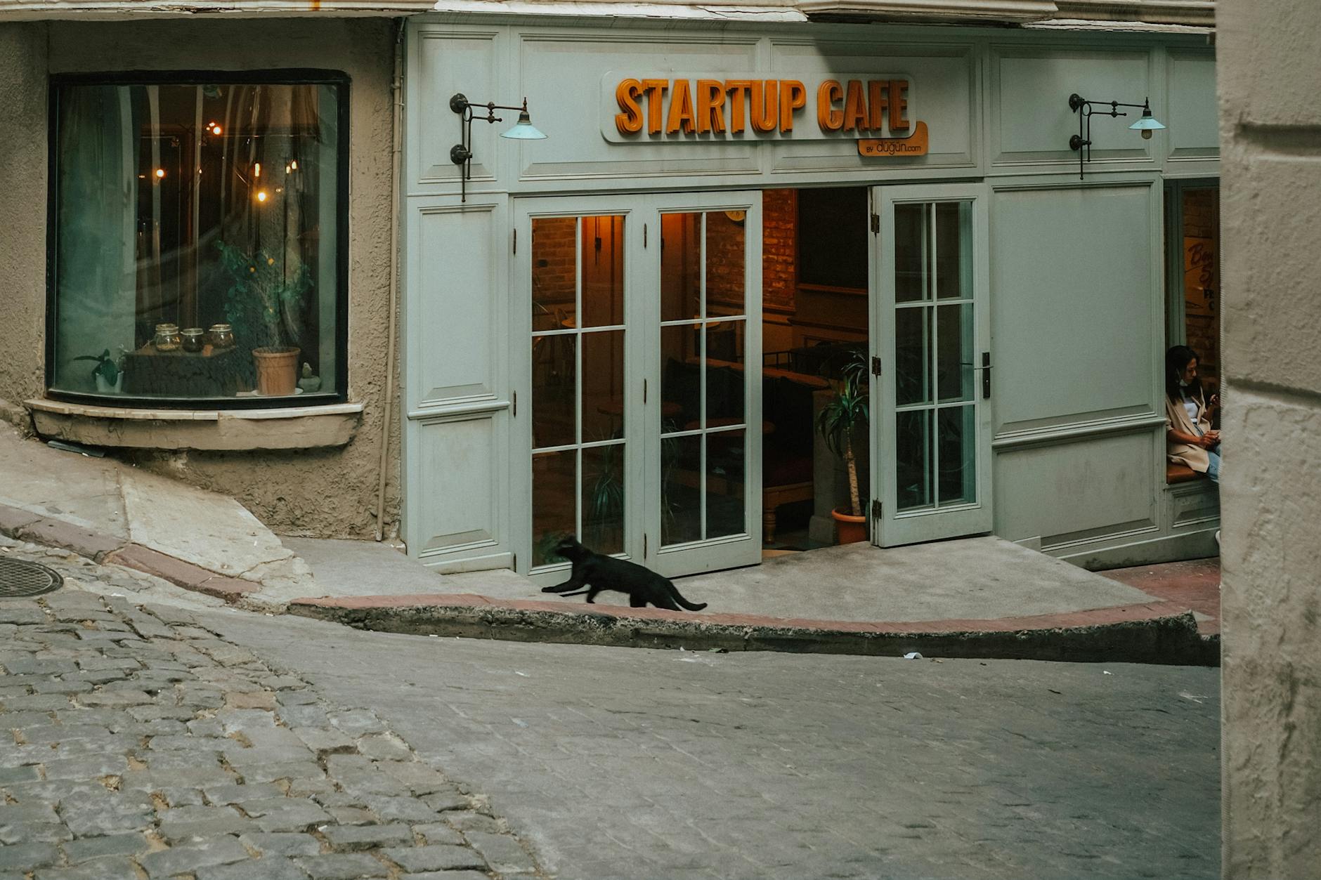 Czarny kot idzie brukowaną ulicą obok przytulnej kawiarni startupowej